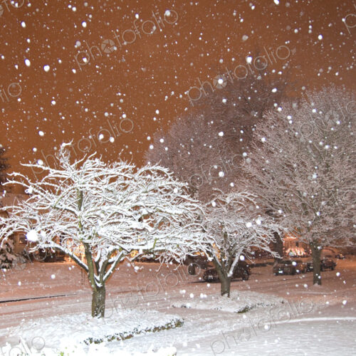 Falling Snow in a Neighborhood Falling Snow in a Neighborhood
