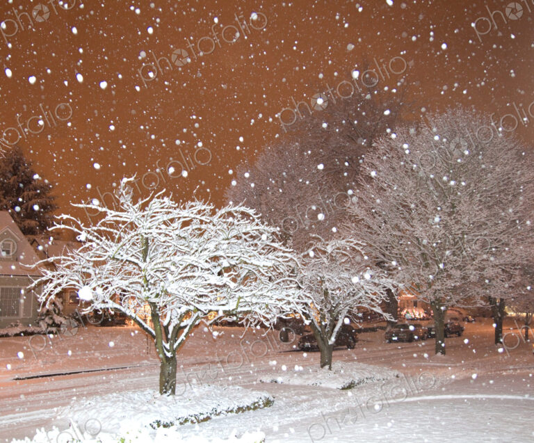 Falling Snow in a Neighborhood
