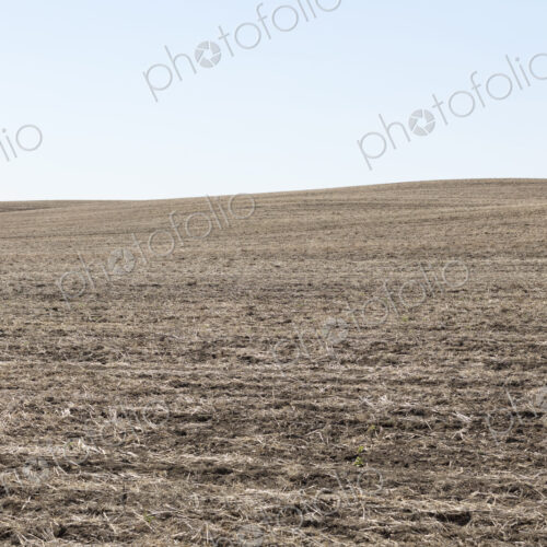 Fallow farmland, horizon and sky, near Dollard, Saskatchewan, Canada. Fallow farmland, horizon and sky, near Dollard, Saskatchewan, Canada.