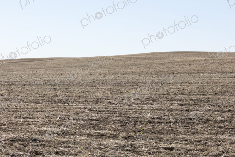 Fallow farmland, horizon and sky, near Dollard, Saskatchewan, Canada.