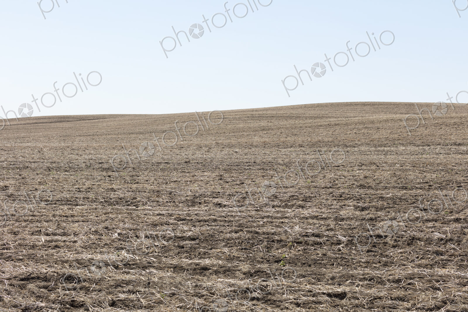 Fallow farmland, horizon and sky, near Dollard, Saskatchewan, Canada.