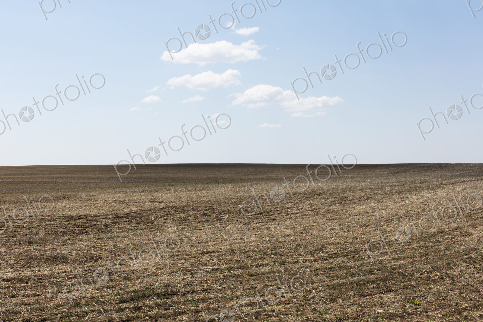 Fallow farmland, horizon and sky, near Dollard, Saskatchewan, Canada.