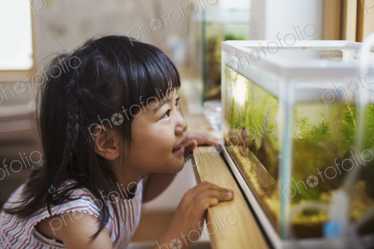 Family home. A girl looking at the fish in a tank on a windowsill.