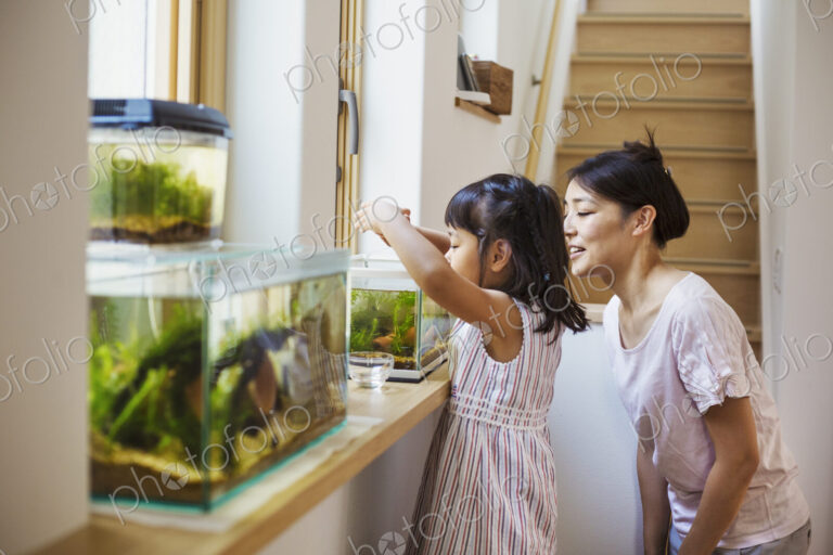 Family home. A mother and daughter looking at the fish in a fish tank on a windowsill.