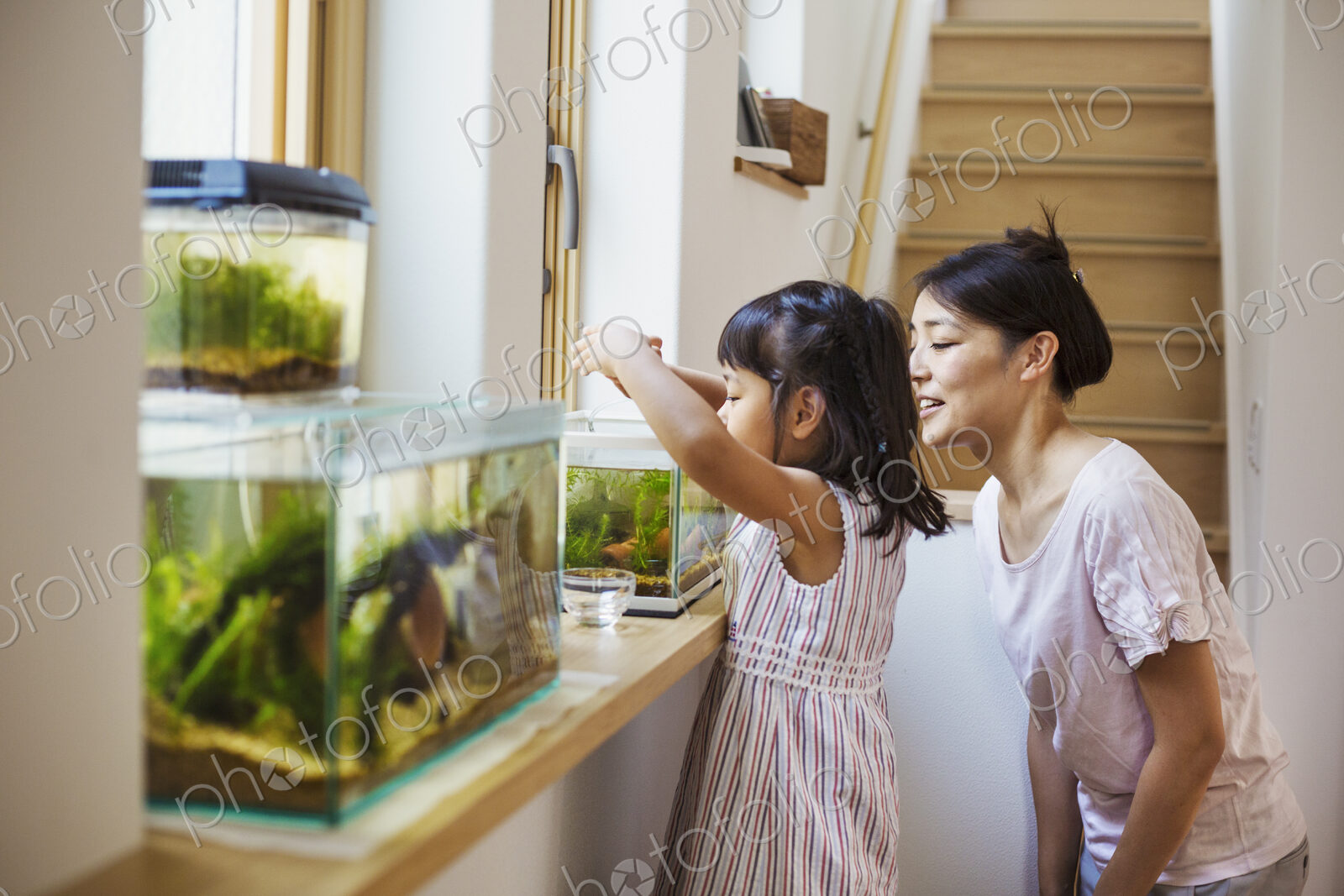 Family home. A mother and daughter looking at the fish in a fish tank on a windowsill.