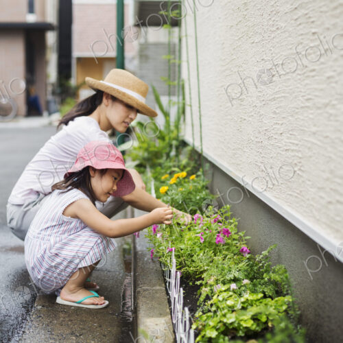 Family home. A woman and her daughter tending plants in a narrow strip of soil.