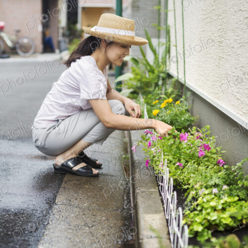 Family home. A woman crouching and planting flowers in a small strip of soil. Family home. A woman crouching and planting flowers in a small strip of soil.