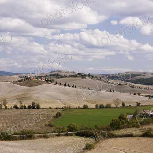 Farm Fields Farm Fields