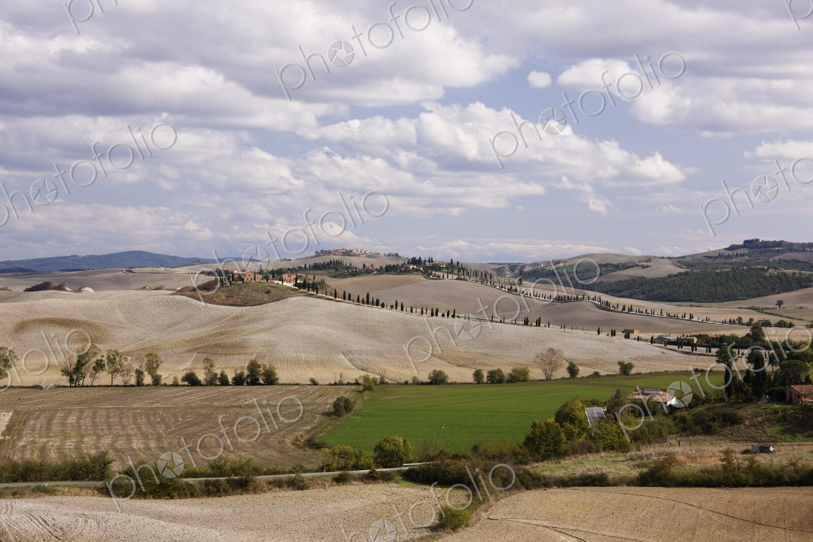 Farm Fields