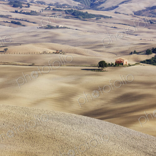 Farm Fields Farm Fields