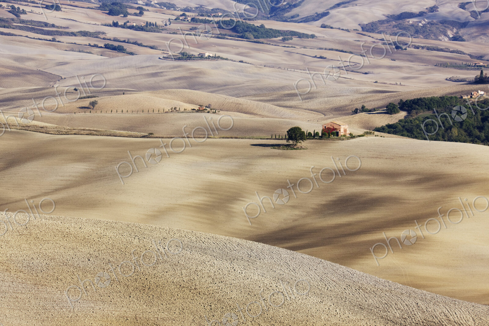 Farm Fields