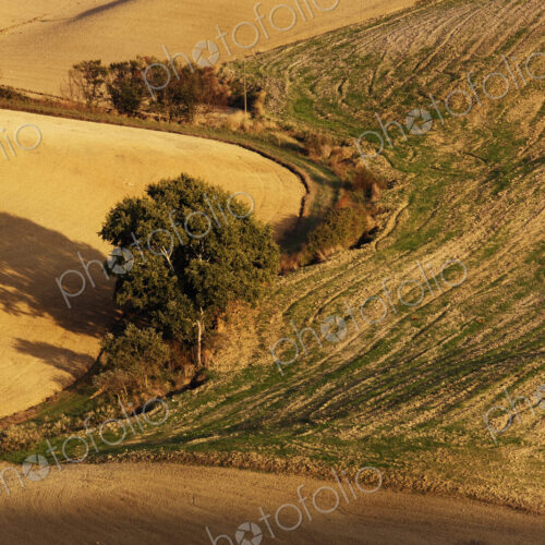 Farm Landscape