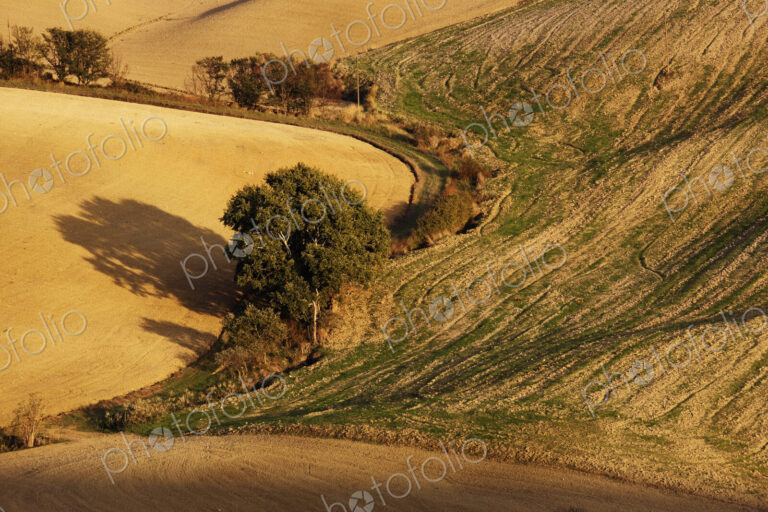 Farm Landscape
