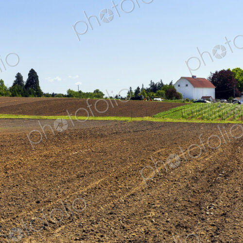 Farm fields in rural landscape
