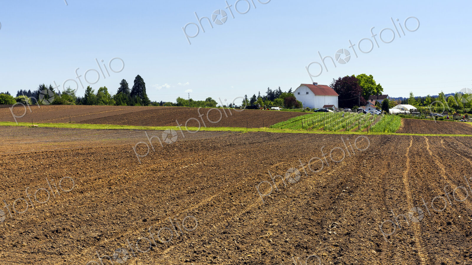 Farm fields in rural landscape
