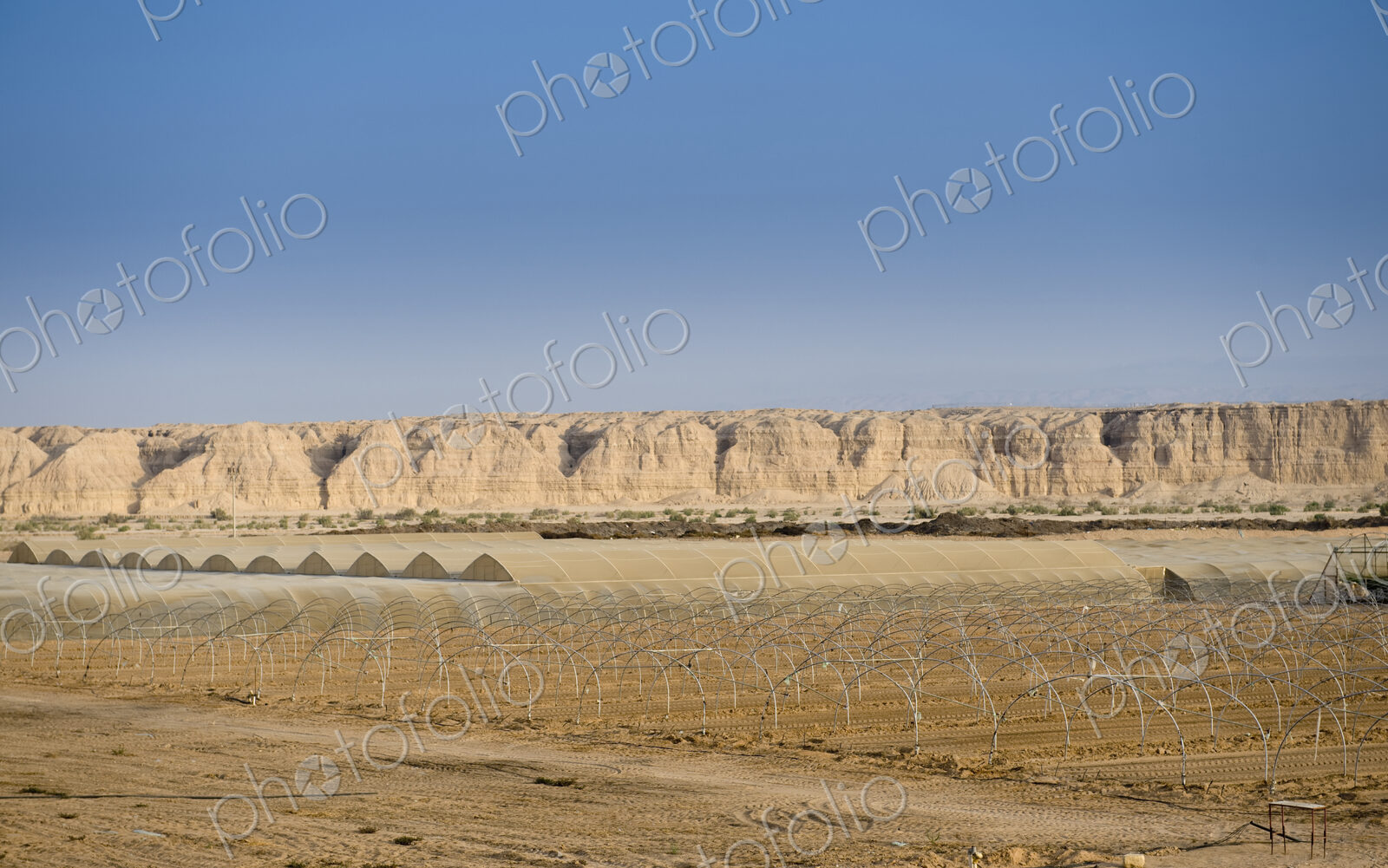 Farm in the Israeli Desert