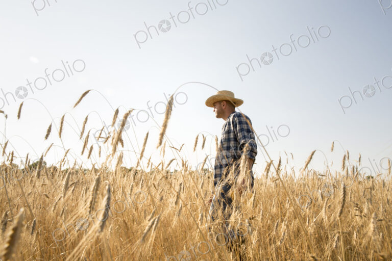 Farmer in a checked shirt and a hat in a cornfield