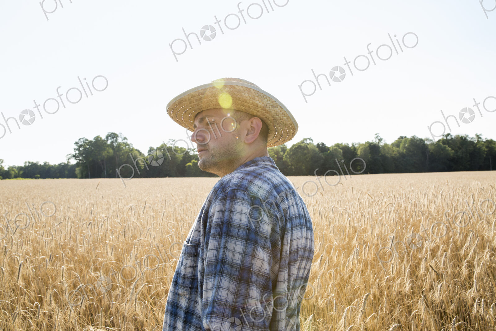 Farmer in a checked shirt and hat in a cornfield