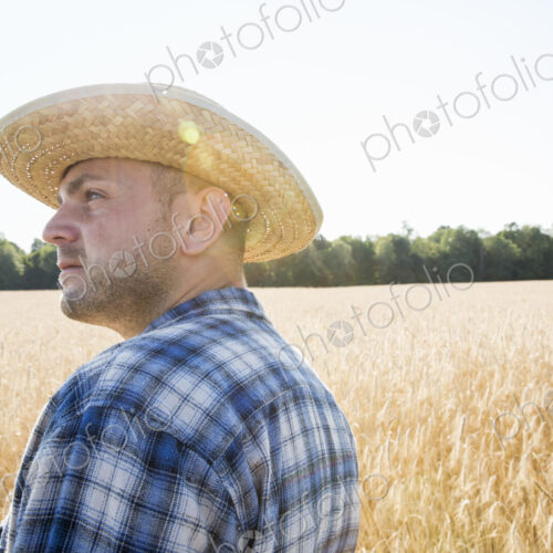Farmer in a checked shirt and hat in a cornfield Farmer in a checked shirt and hat in a cornfield
