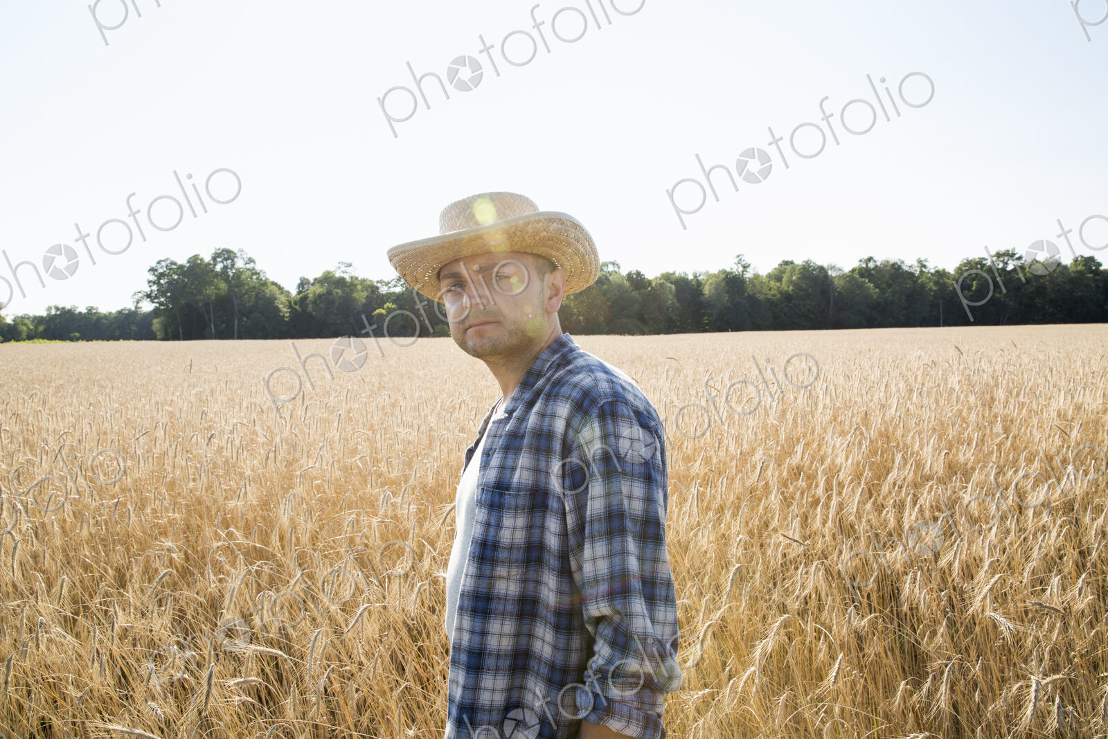 Farmer in a checked shirt and hat in a cornfield