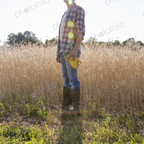 Farmer in a checked shirt and hat in a cornfield Farmer in a checked shirt and hat in a cornfield