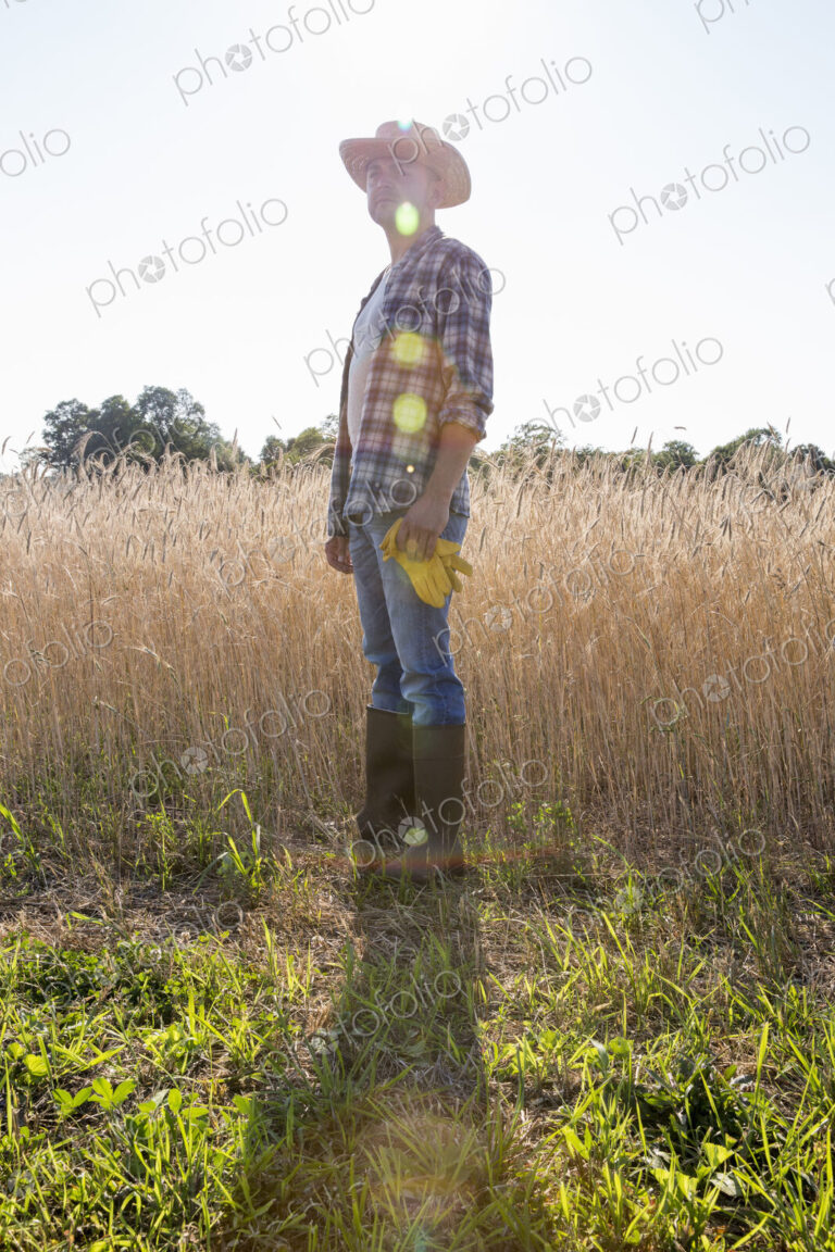 Farmer in a checked shirt and hat in a cornfield