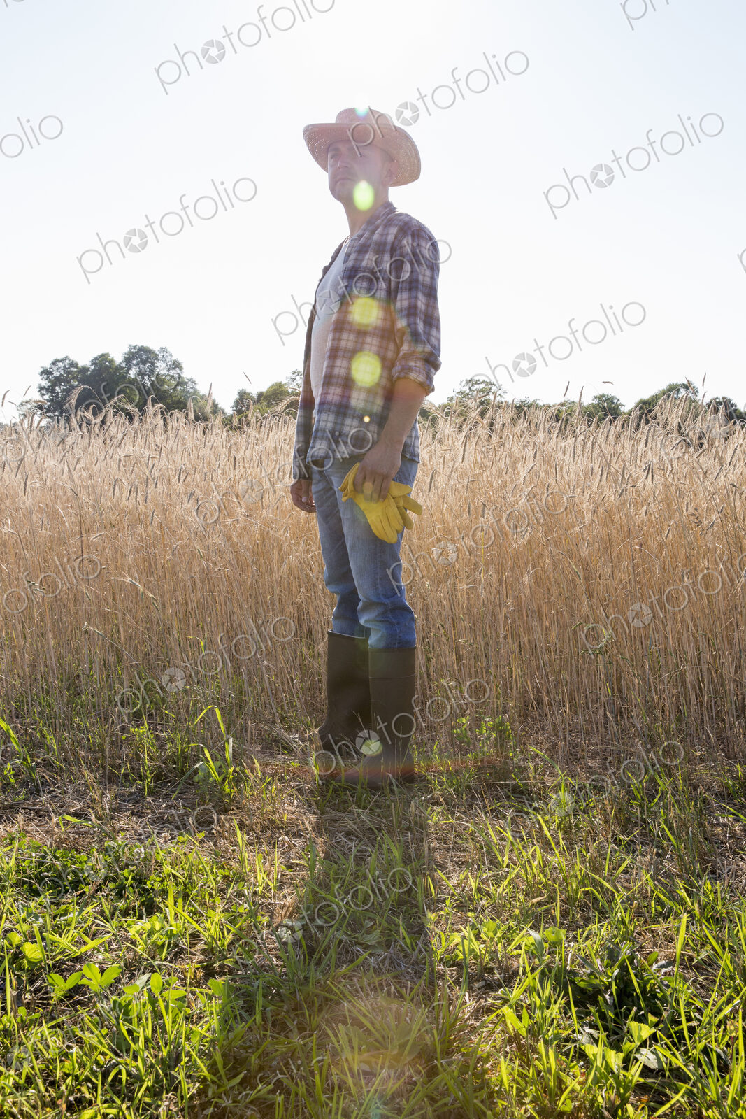 Farmer in a checked shirt and hat in a cornfield