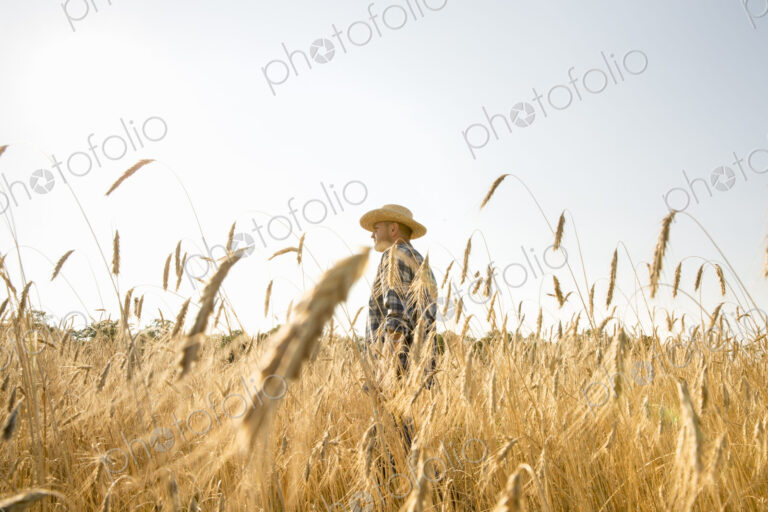Farmer in jeans and straw hat standing in a cornfield