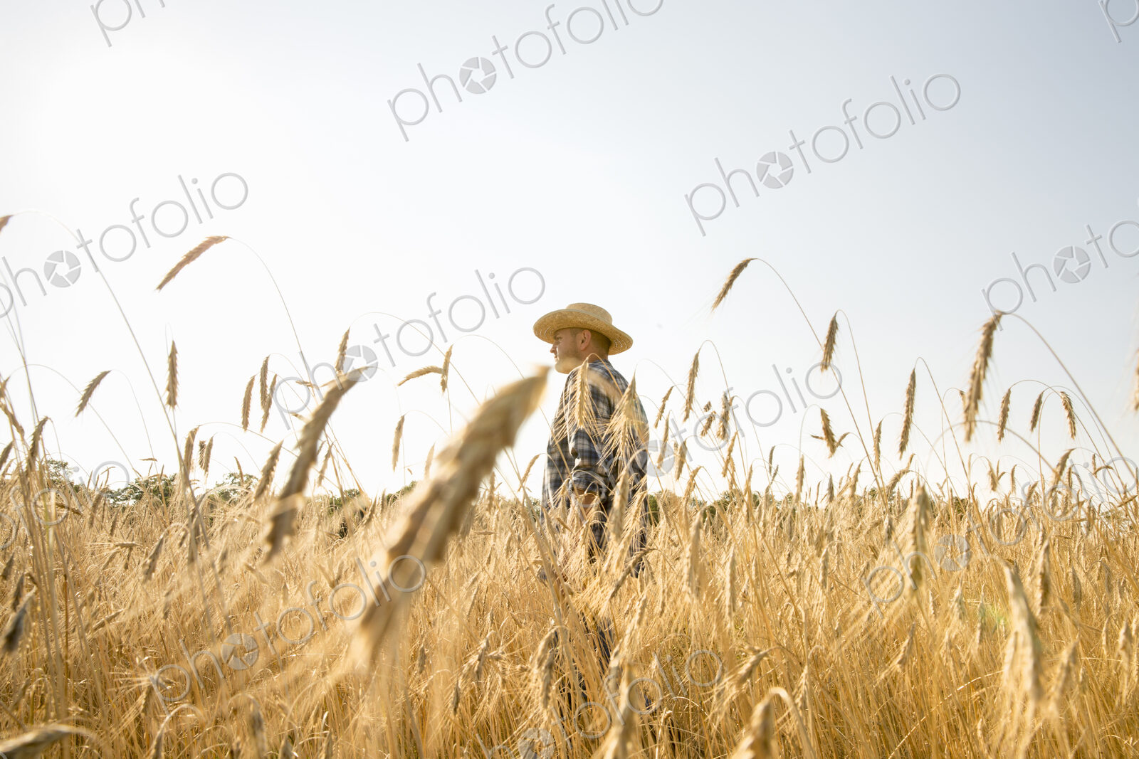 Farmer in jeans and straw hat standing in a cornfield