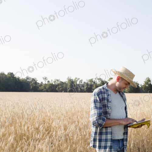 Farmer in jeans and straw hat, using a digital tablet Farmer in jeans and straw hat, using a digital tablet