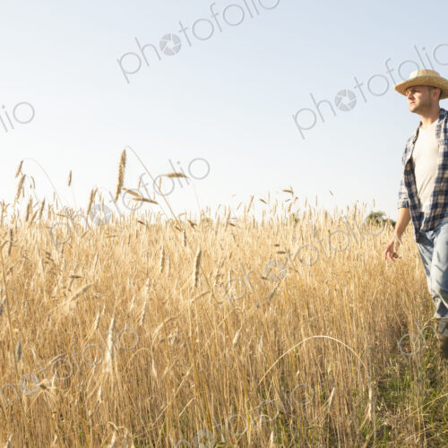 Farmer wearing a checkered shirt and a hat in a cornfield
