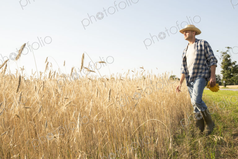 Farmer wearing a checkered shirt and a hat in a cornfield