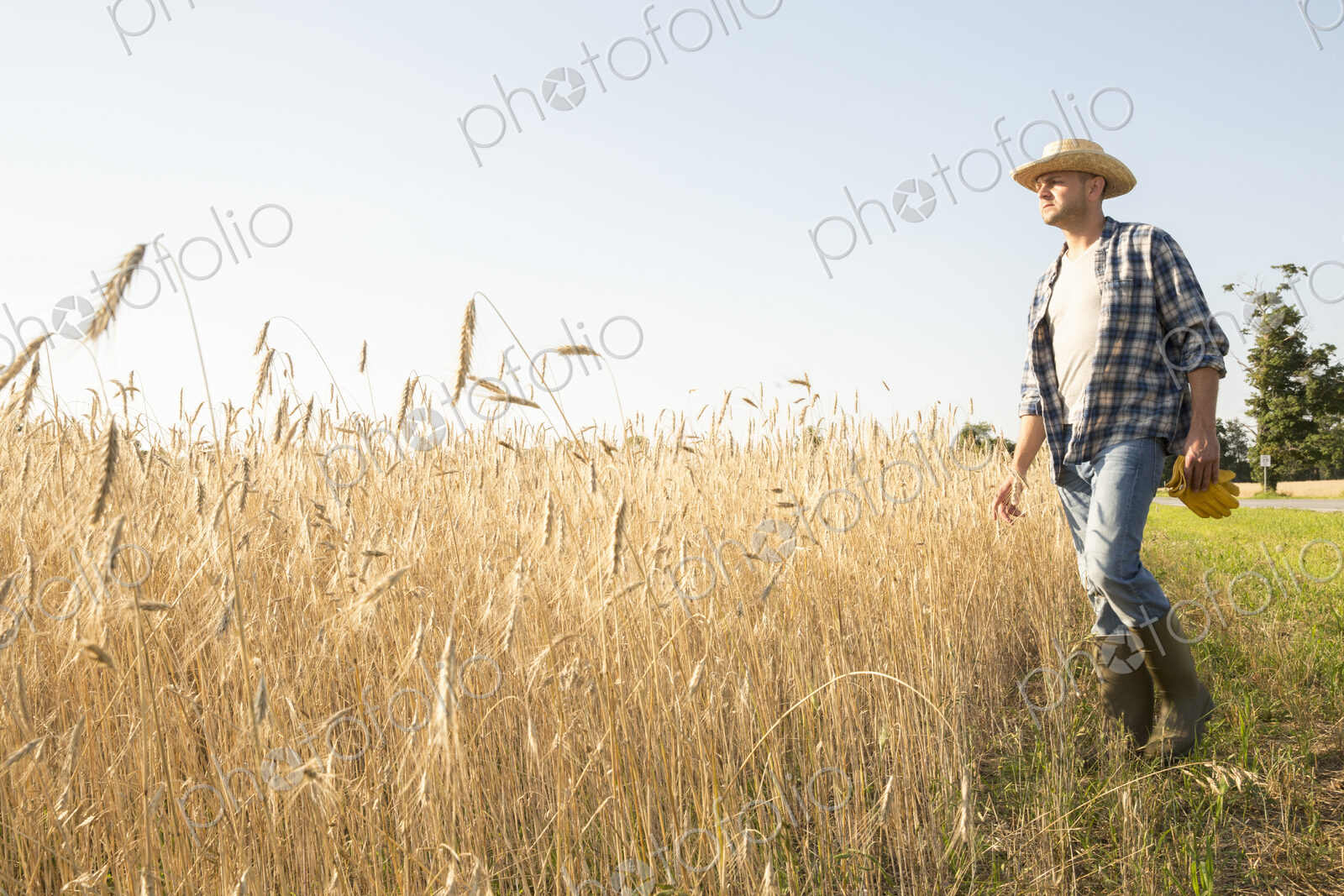 Farmer wearing a checkered shirt and a hat in a cornfield