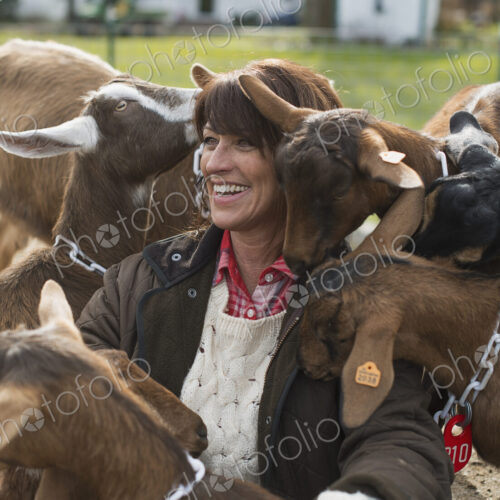 Farmer working and tending to the animals.