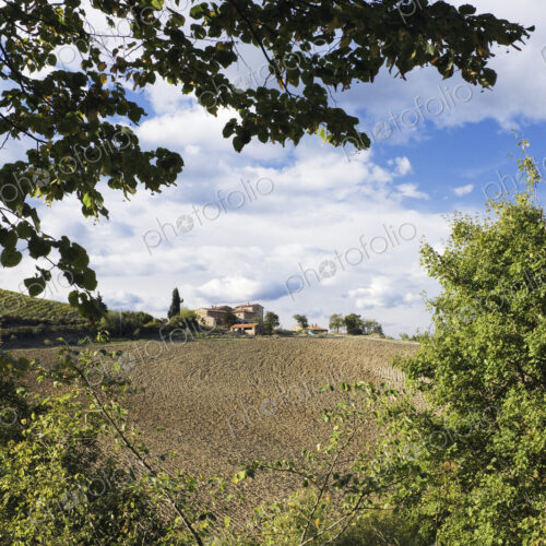 Farmhouse and Field