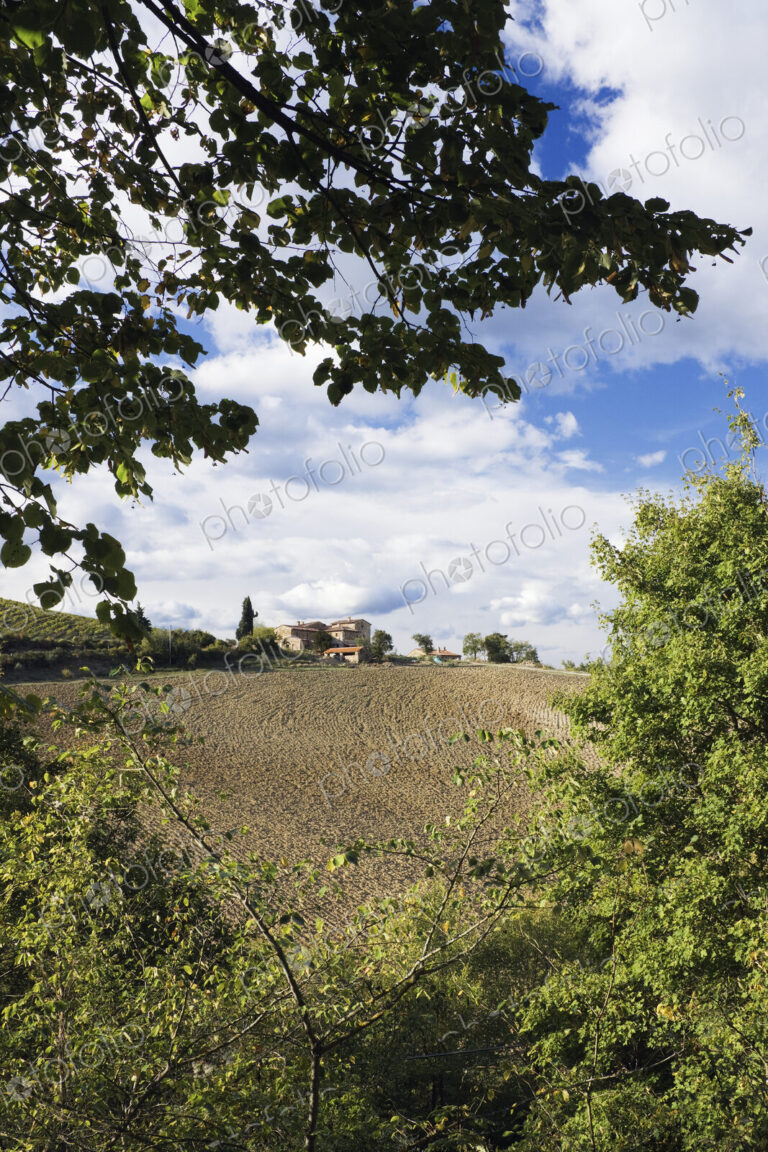 Farmhouse and Field