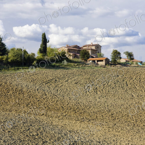 Farmhouse and Field
