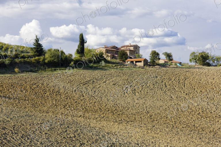Farmhouse and Field