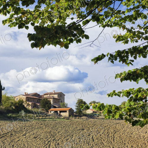 Farmhouse and Field