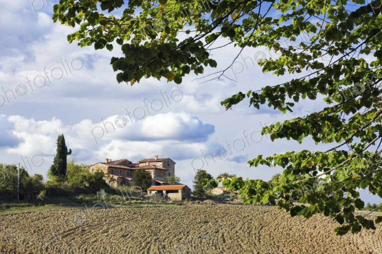 Farmhouse and Field