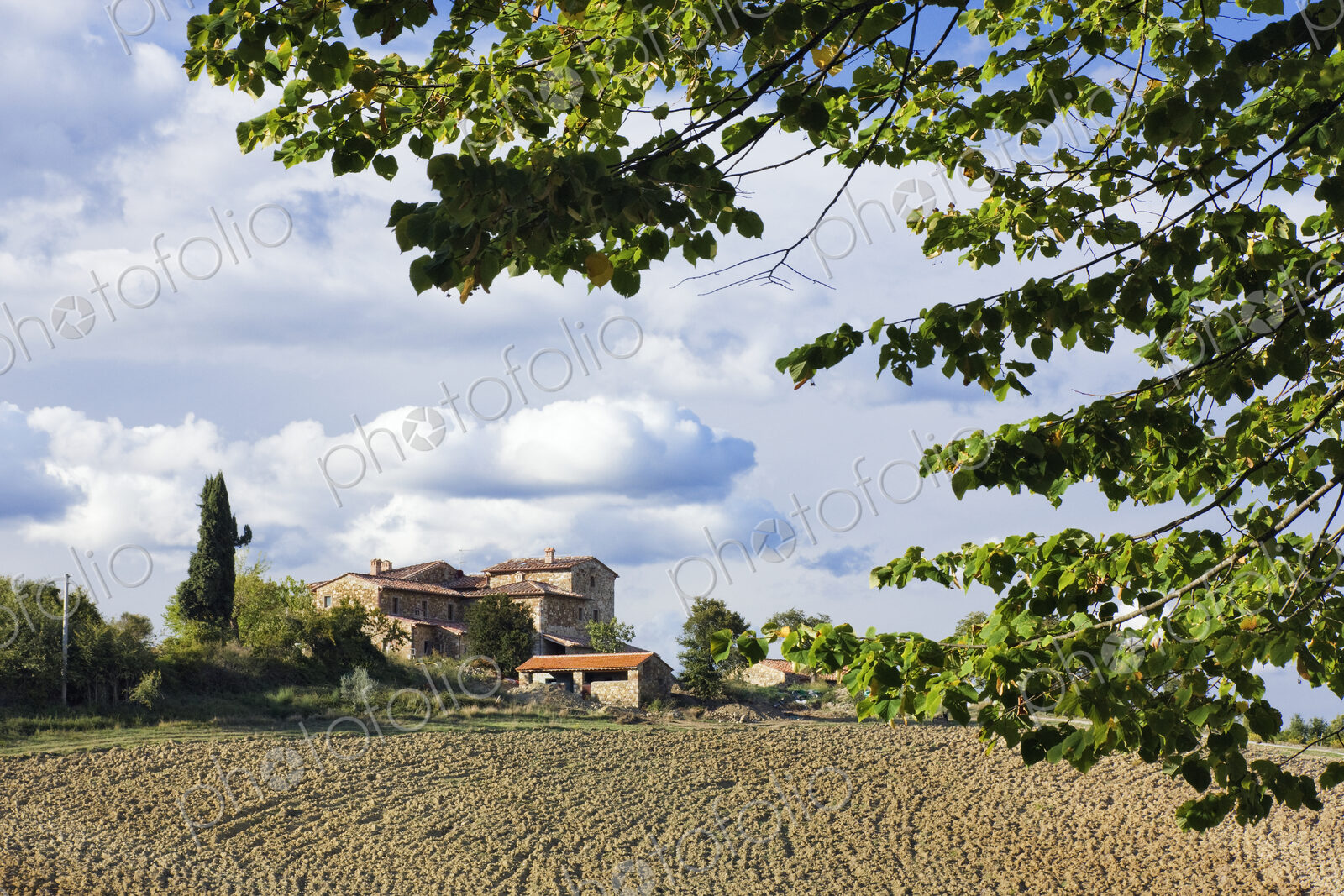 Farmhouse and Field