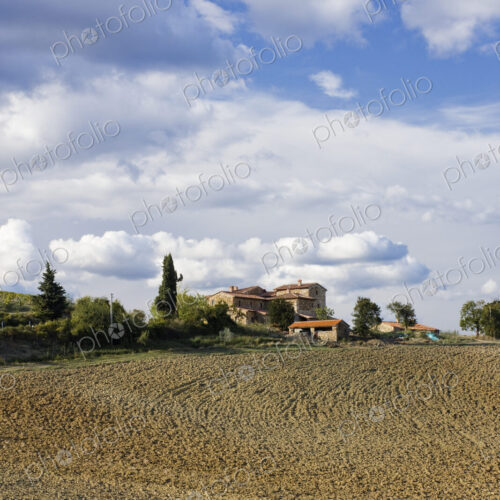 Farmhouse and Field