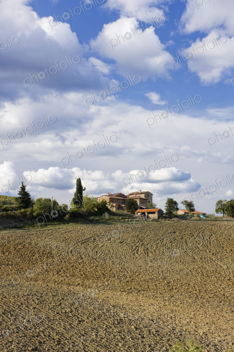 Farmhouse and Field