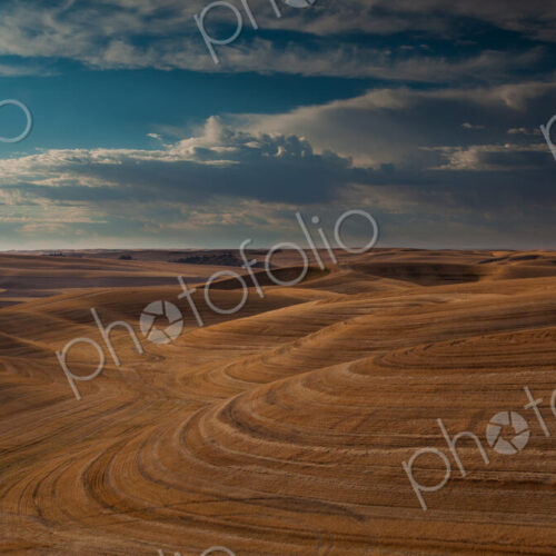 Farmland landscape, with ploughed fields and furrows in Palouse, Washington, USA