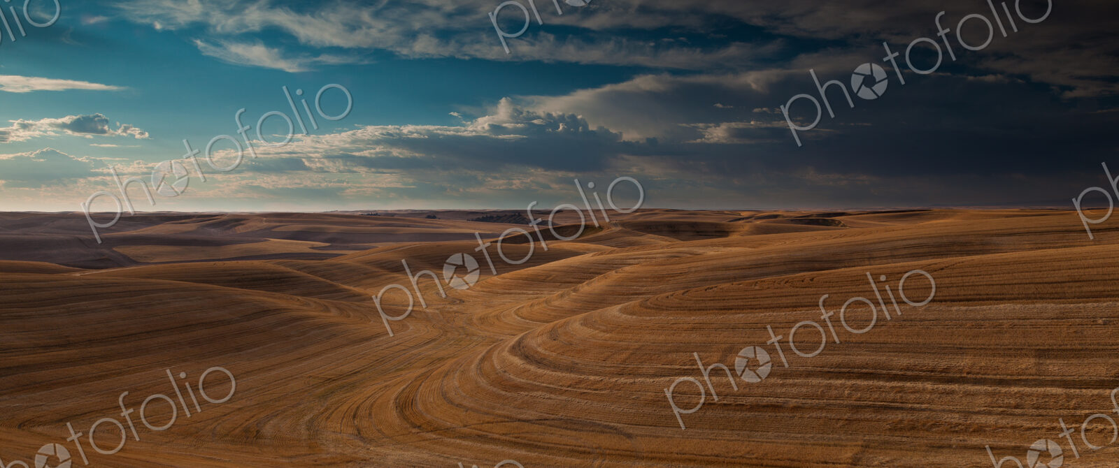 Farmland landscape, with ploughed fields and furrows in Palouse, Washington, USA