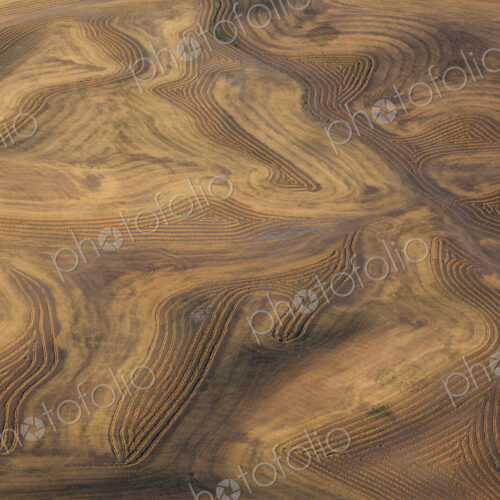 Farmland landscape, with ploughed fields and furrows in Palouse, Washington, USA