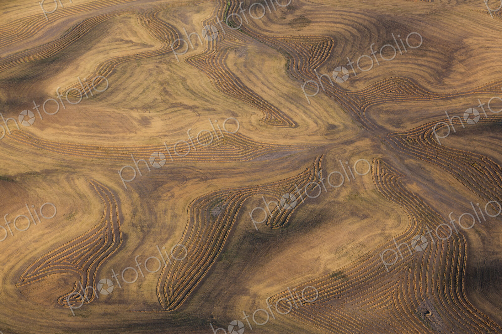 Farmland landscape, with ploughed fields and furrows in Palouse, Washington, USA