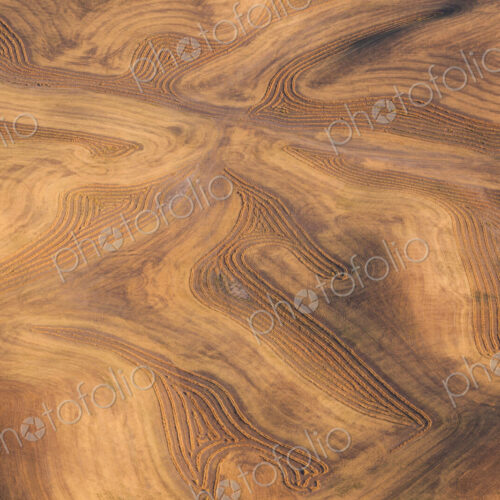 Farmland landscape, with ploughed fields and furrows in Palouse, Washington, USA