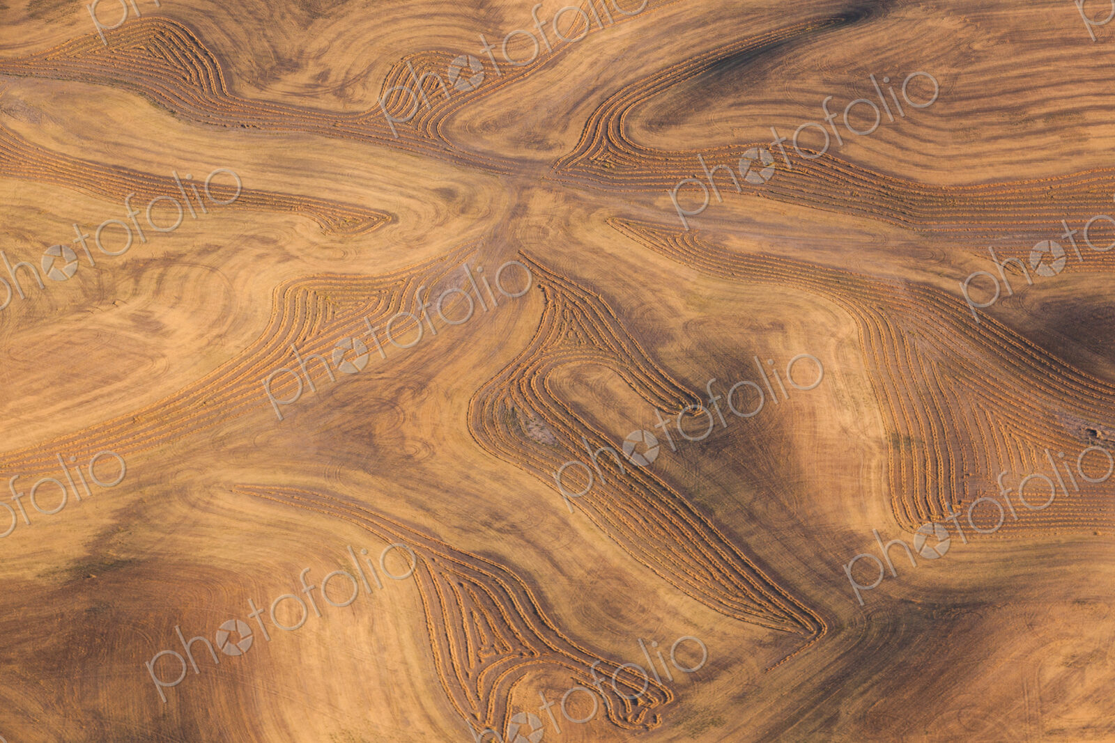Farmland landscape, with ploughed fields and furrows in Palouse, Washington, USA