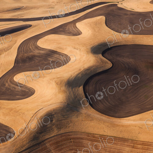 Farmland landscape, with ploughed fields and furrows in Palouse, Washington, USA. An…
